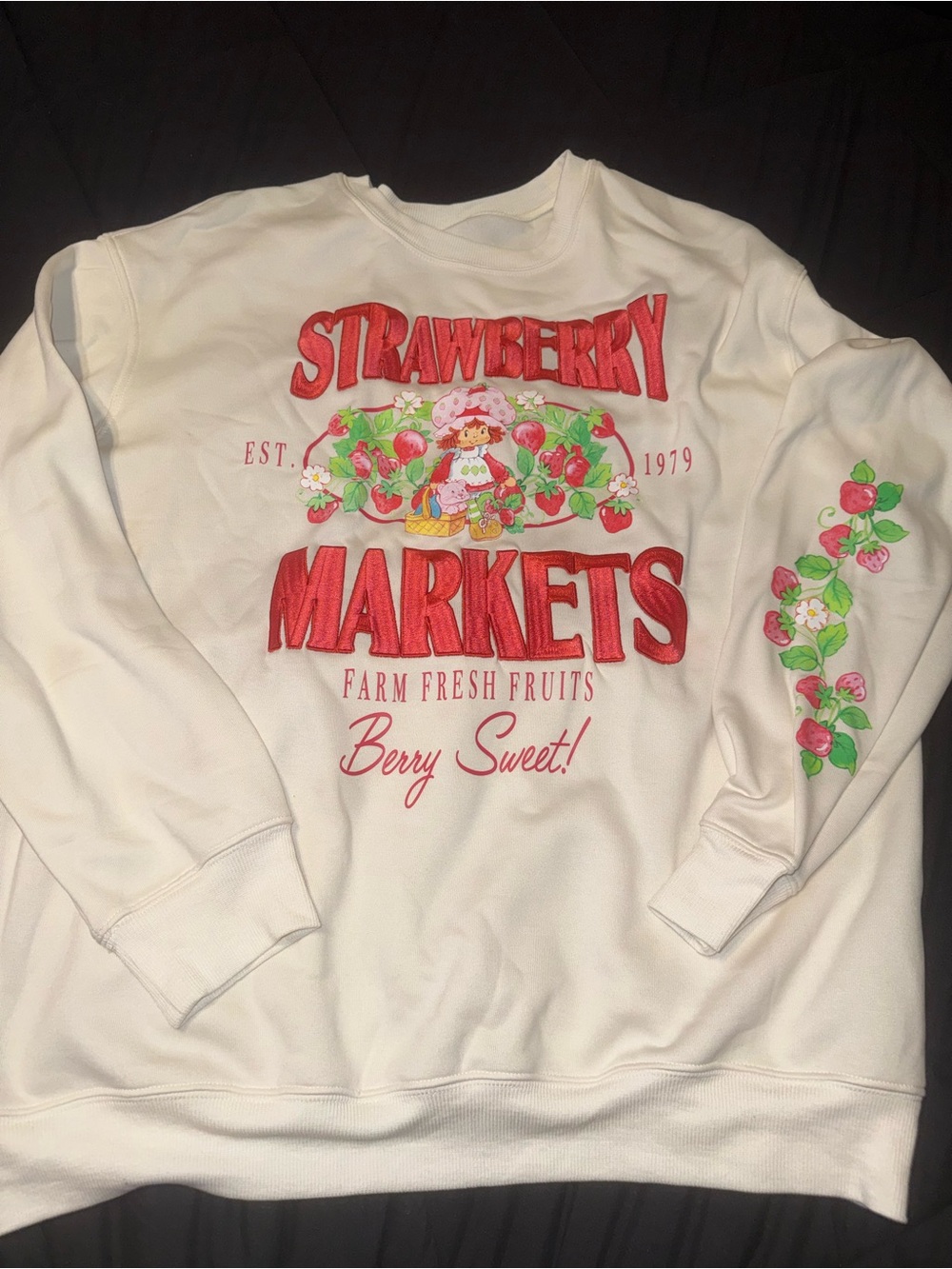 Strawberry Shortcake Sweater - Picture 1 of 5